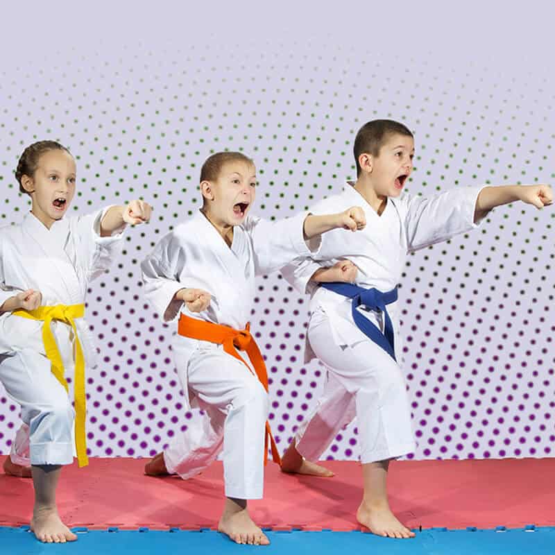 Martial Arts Lessons for Kids in North Plainfield NJ - Punching Focus Kids Sync